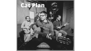 Cat Plan